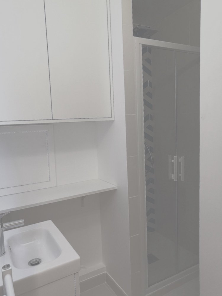 Aménagement d'une petite salle de douche dans un placard - Charenton Le Pont 4 dav