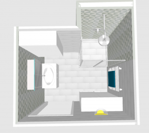 Aménagement d'une petite salle de douche dans un placard - Charenton Le Pont 5 plan_R