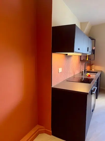 Création d'un appartement sous combles - Boulogne 1 IMG_0617 2