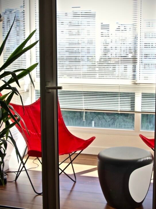 Aménagement & décoration intérieure d'un appartement - Charenton Le Pont 6 Fauteuil papillon rouge devant la baie vitrée – décoration intérieure contemporaine Charenton-le-Pont
